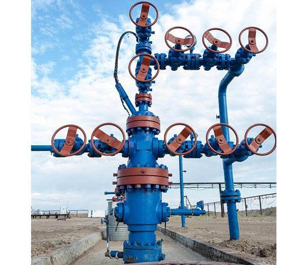 Wellhead Maintenance Service